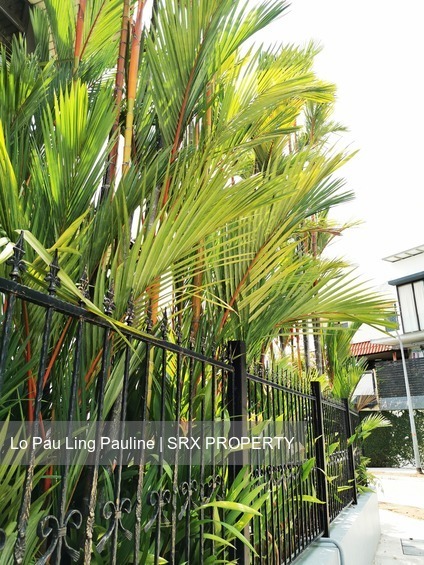 Clover Park (D20), Terrace #227037911